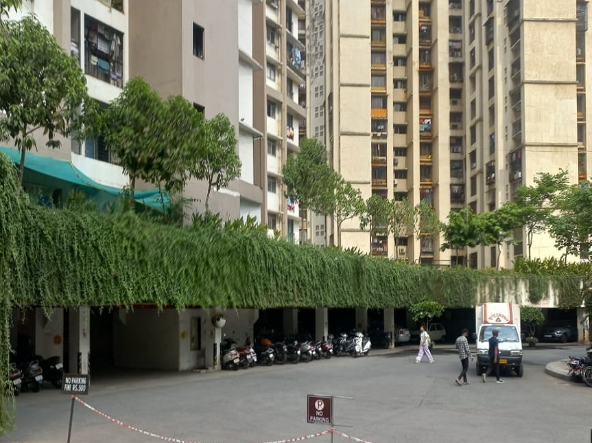Greenscape Creation